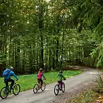 Hotel Wander Und Aktiv Hotel Roesslwirt Lam