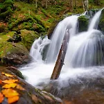 Wander Und Aktiv Hotel Roesslwirt Hotel 3*