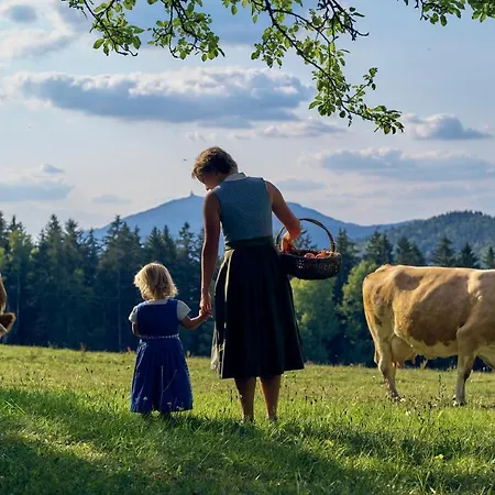 Wander Und Aktiv Hotel Roesslwirt Lam