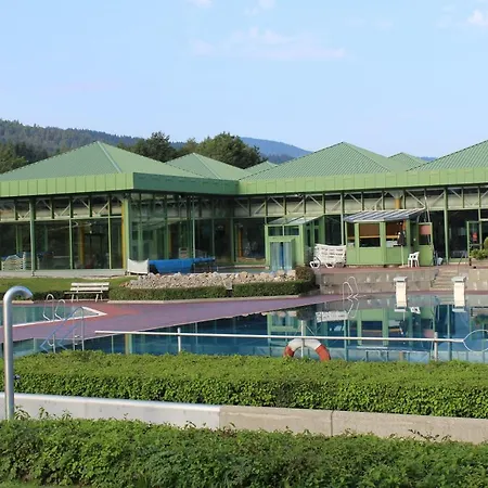 Hotel Wander Und Aktiv Hotel Roesslwirt Lam
