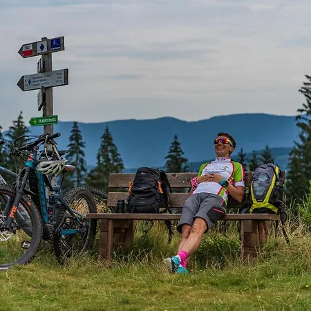 Hotel Wander Und Aktiv Hotel Roesslwirt Lam