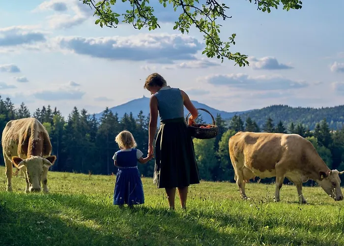 Wander Und Aktiv Roesslwirt Lam