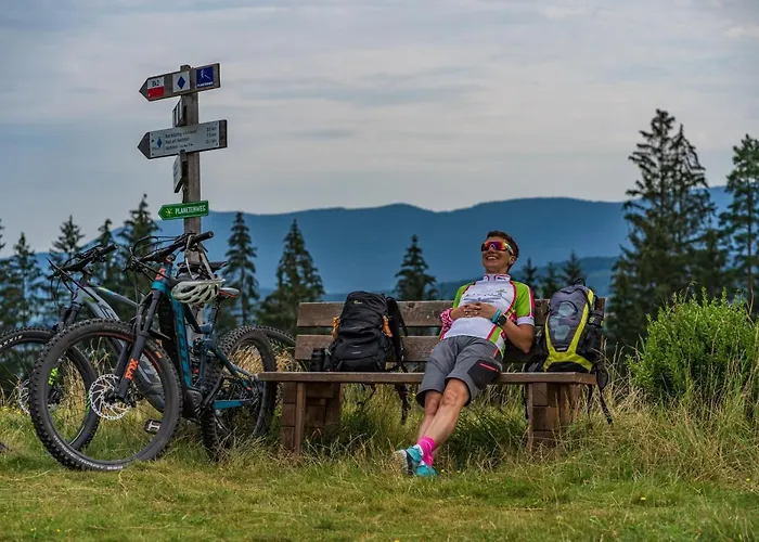 Hotel Wander Und Aktiv Roesslwirt Lam